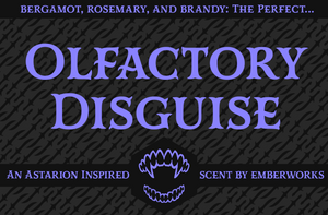 Olfactory Disguise - BG3 Inspired Candle